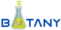 Botany Logo